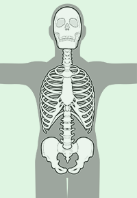 PNF上肢パターン