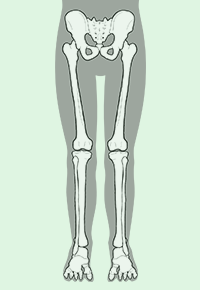 PNF下肢パターン